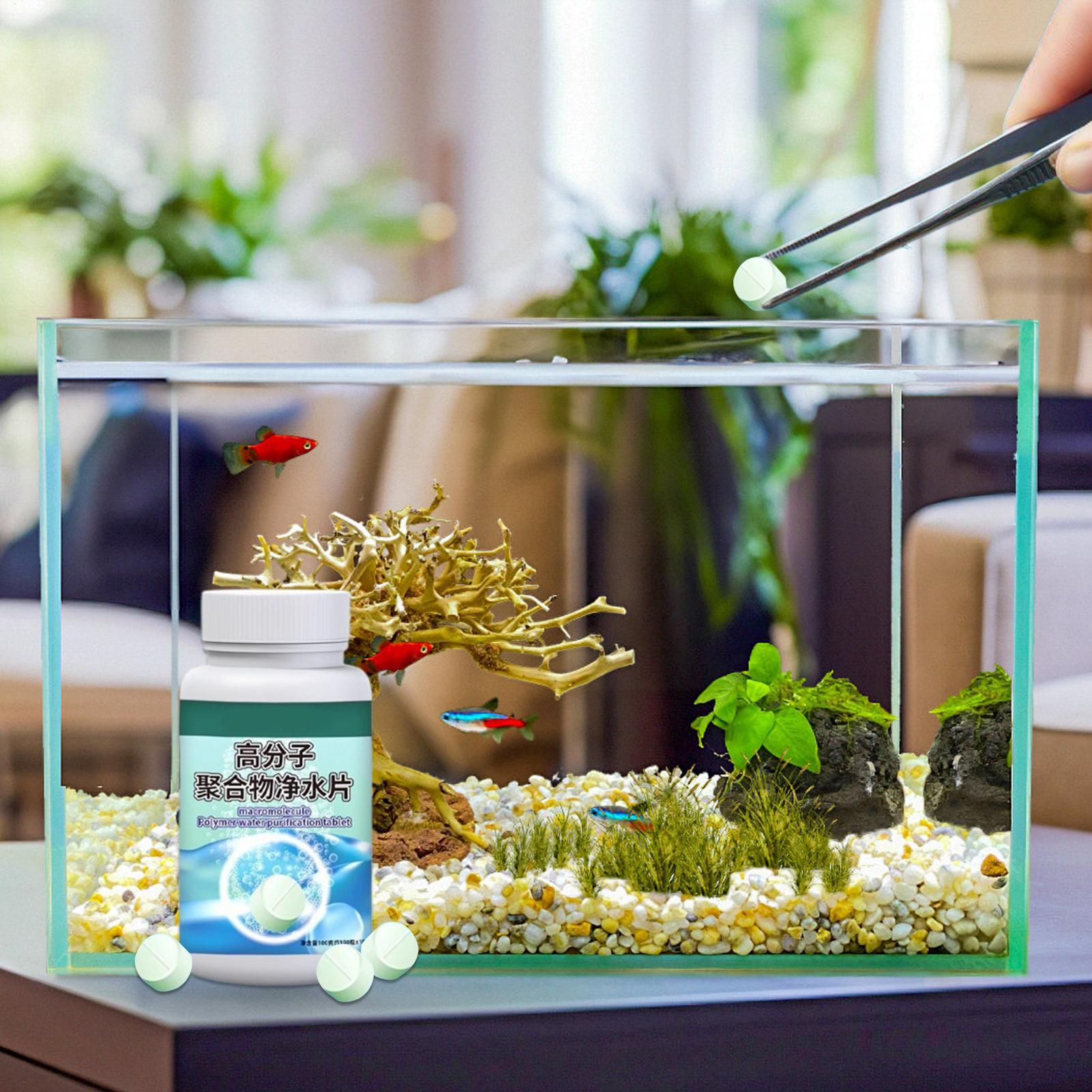 Fish Can Algae Remover Aquariu - Betta Fish Tank review and price