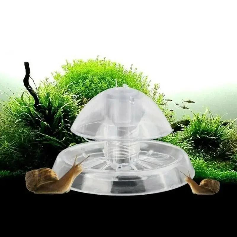 2026 New 6/8CM Clear Plastic S - Fish Aquarium Home review and price
