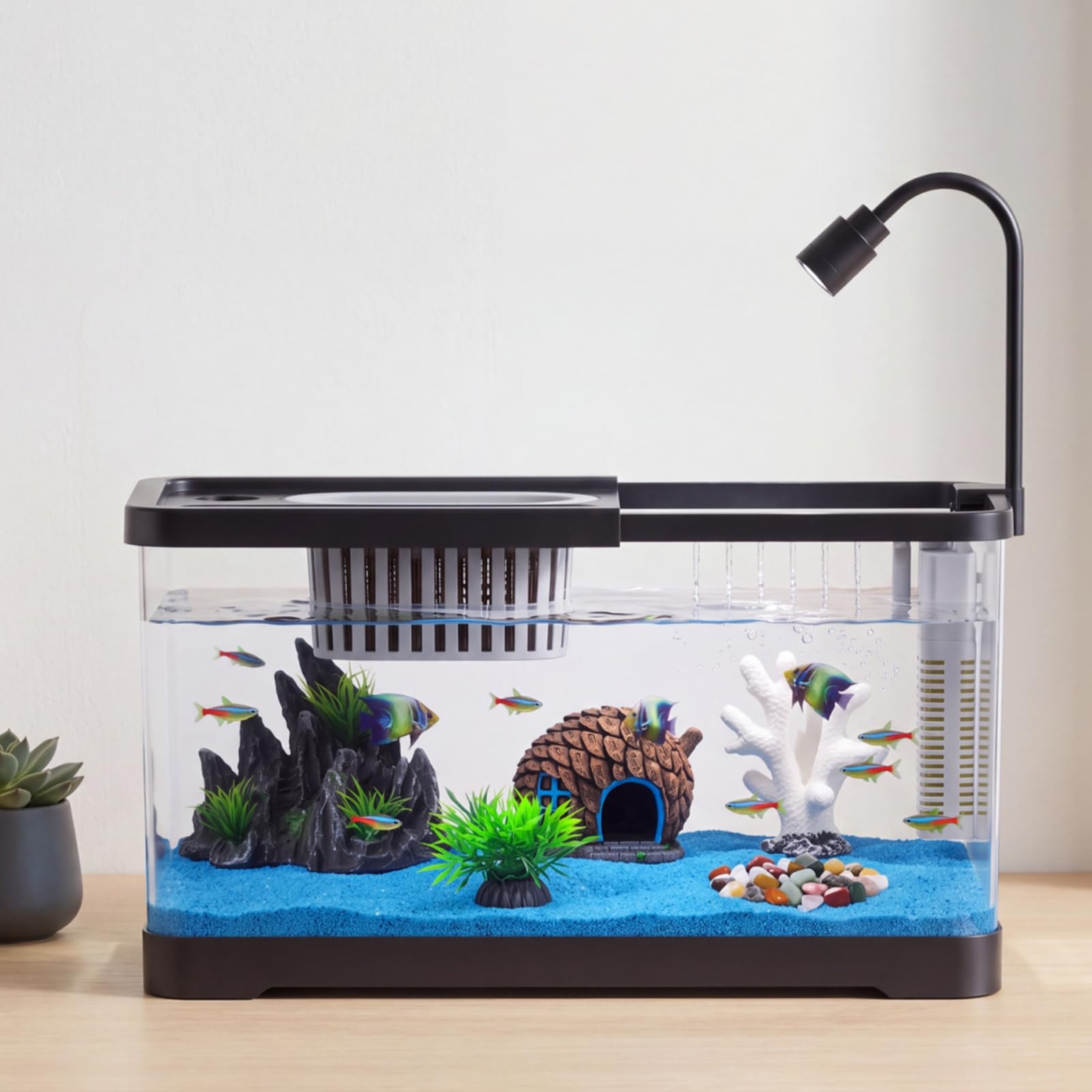 Fish Tank Starter Kit With Fil - Betta Fish Tank review and price