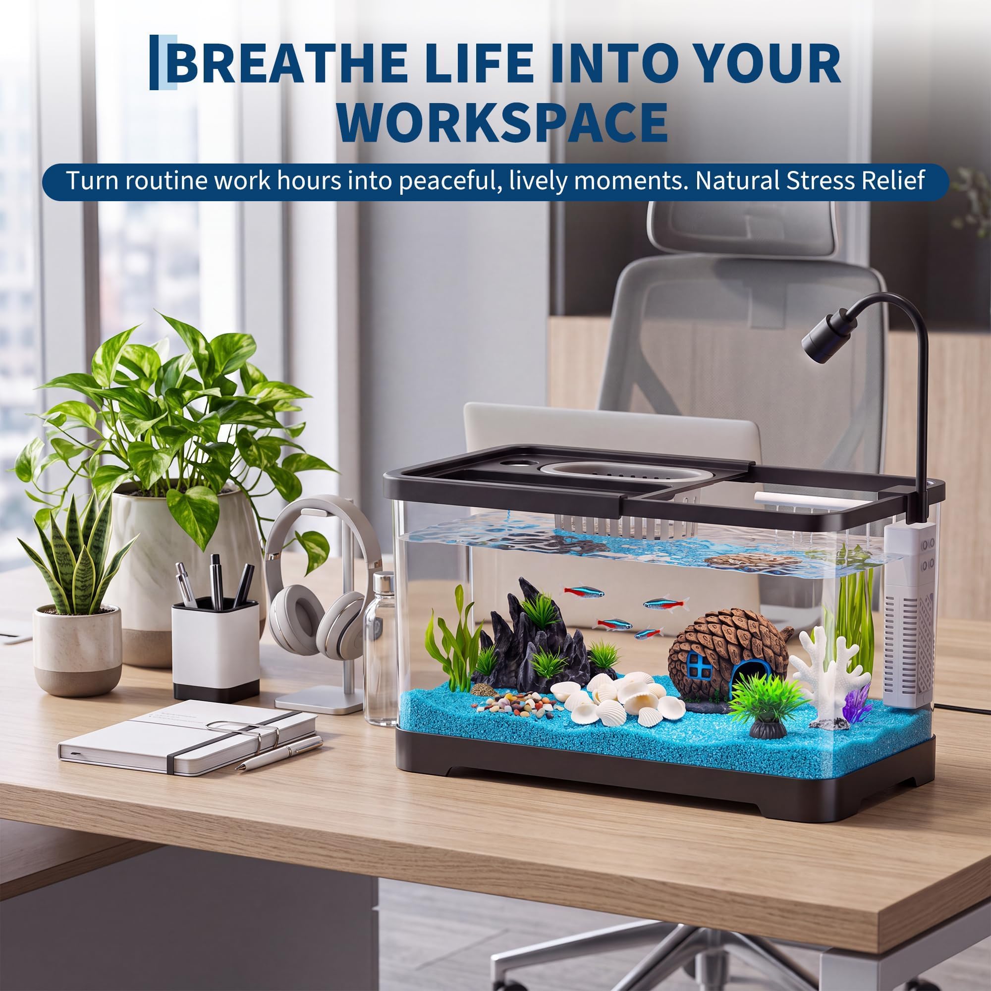 Fish Tank Starter Kit With Fil - Betta Fish Tank review and price