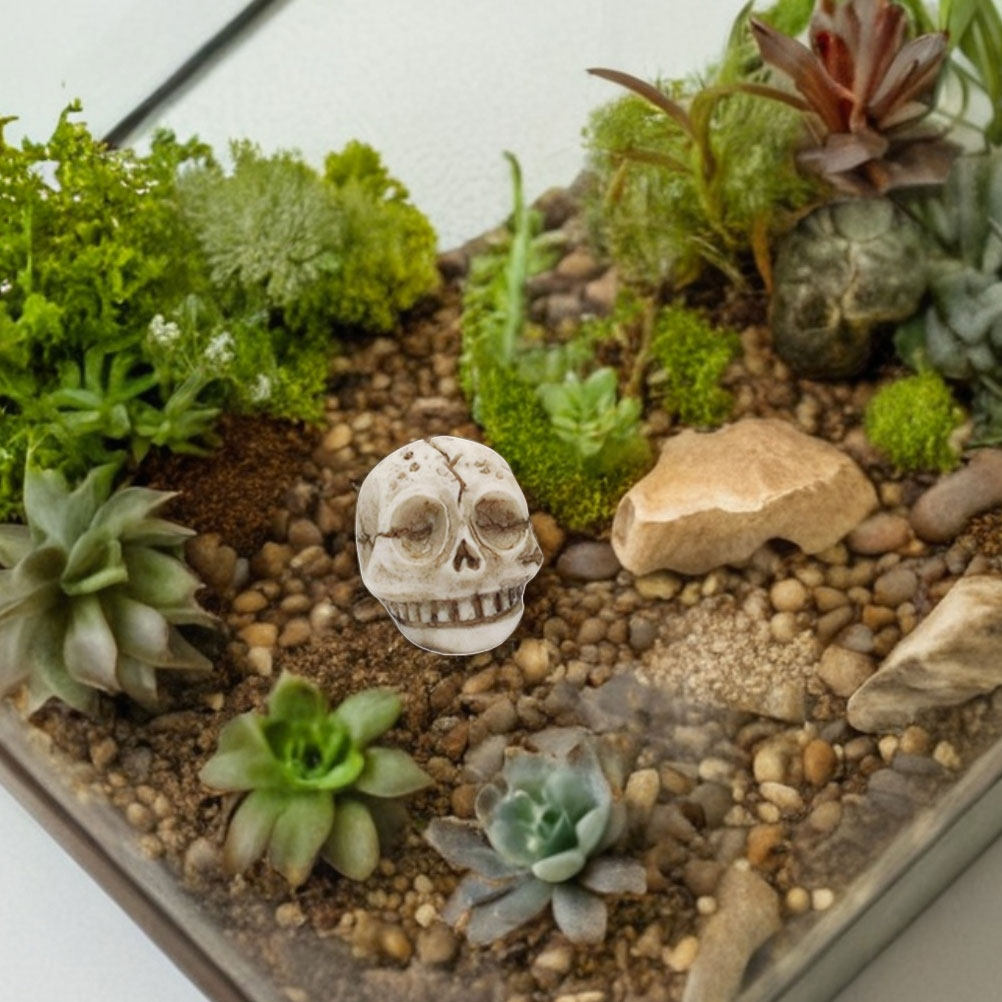 20Pcs Resin Smiling Skull Stat - Aquarium Decor review and price