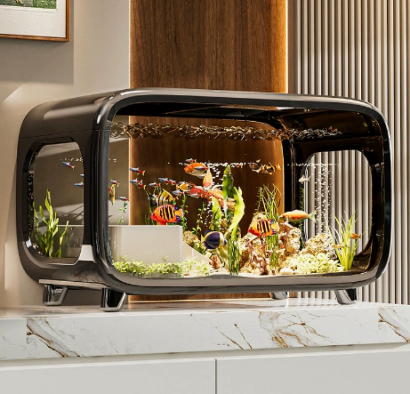 Creative Transparent Ecologica - Fish Aquarium Home review and price