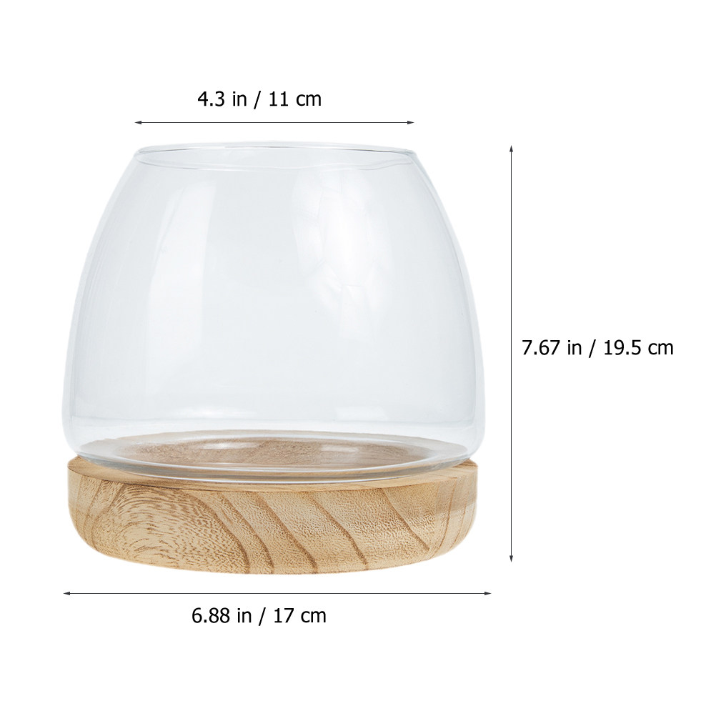 1Set Clear Glass Hydroponic Pl - Aquarium Fish Betta review and price