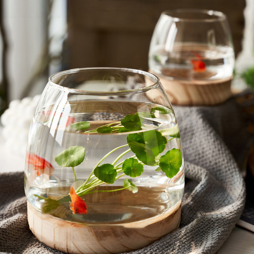 1Set Clear Glass Hydroponic Pl - Aquarium Fish Betta review and price