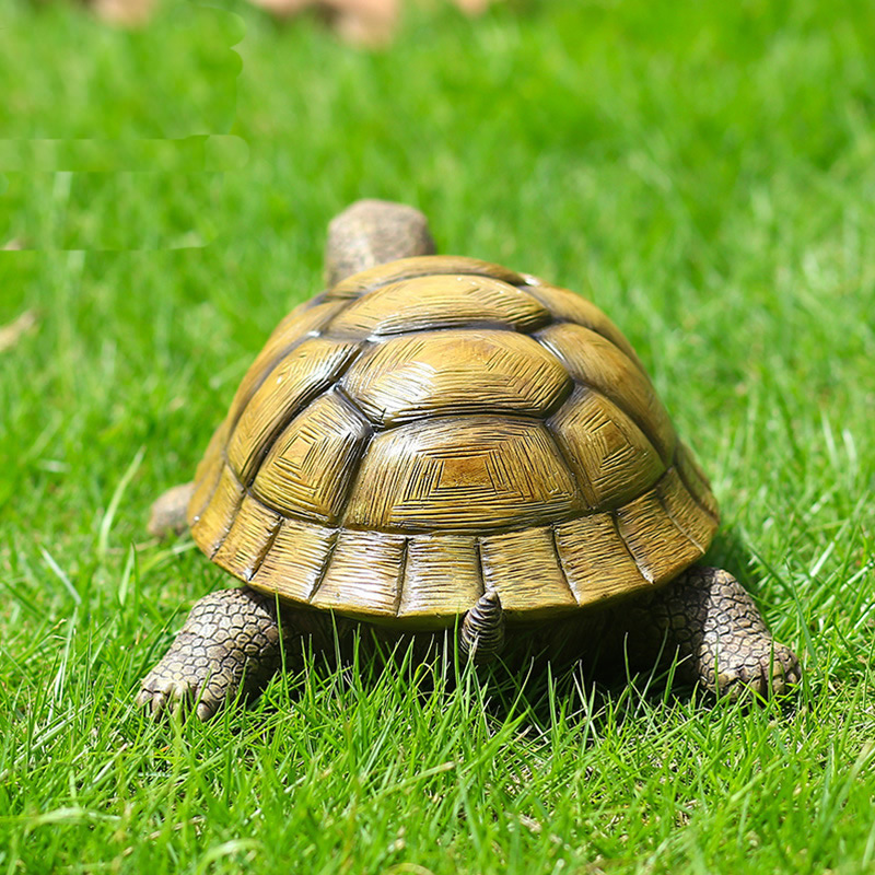 Cute Decorative Turtle Resin T - Fish Aquarium Home review and price